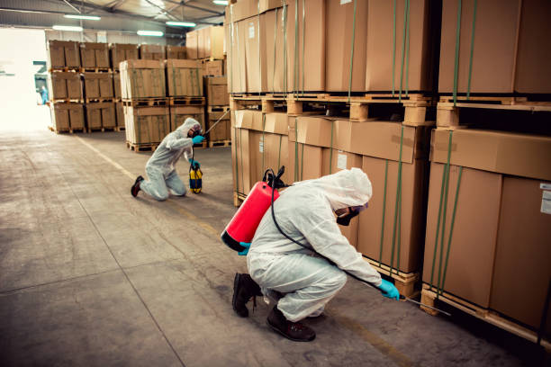 Best Mosquito Control Services  in Courtland, VA