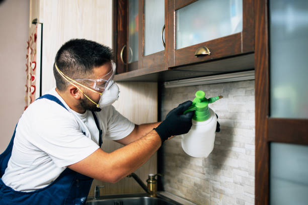 Best Affordable Pest Control Services  in Courtland, VA