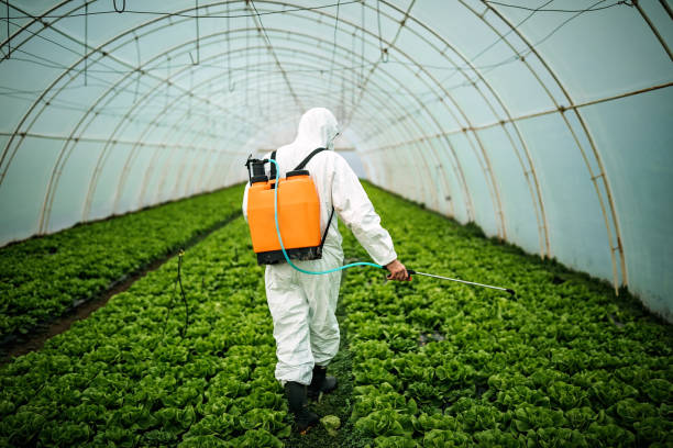 Best Pest Control Near Me  in Courtland, VA
