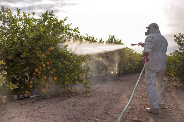 Best Emergency Pest Control  in Courtland, VA