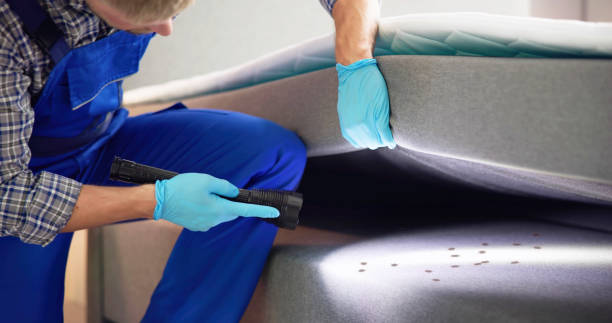 Best Termite Control Services  in Courtland, VA
