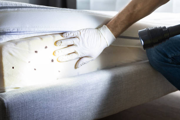 Pest Control Cost in Courtland, VA