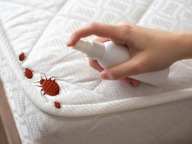 Best Pest Control Near Me in Courtland, VA