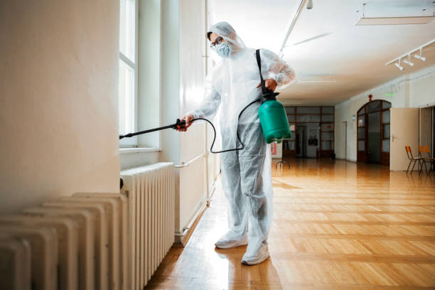 Best Local Pest Control Services  in Courtland, VA
